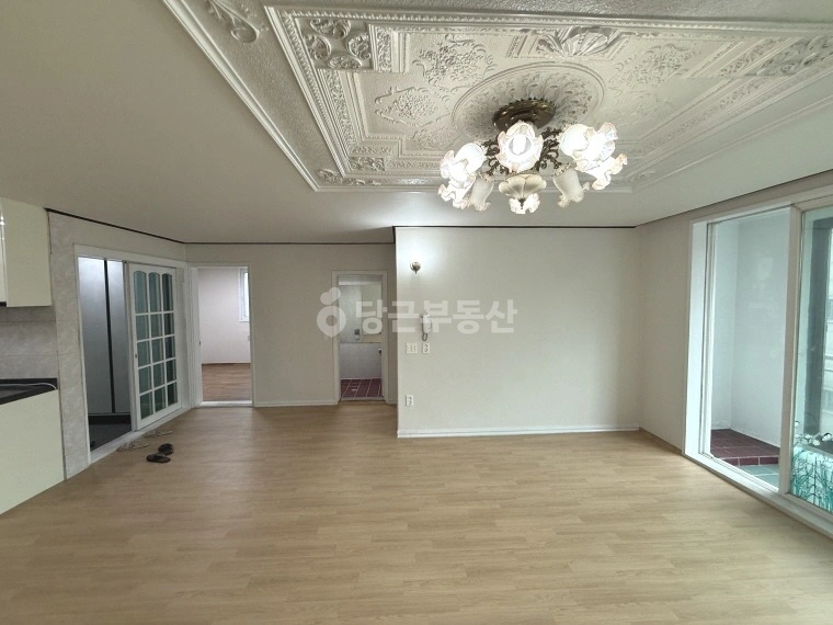 대전광역시 서구 월평동 빌라(투룸 이상) 사진 1