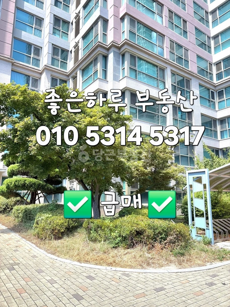 경상북도 포항시 북구 장성동 아파트 사진 1
