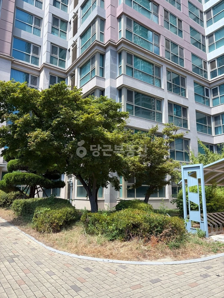 경상북도 포항시 북구 장성동 아파트 사진 1