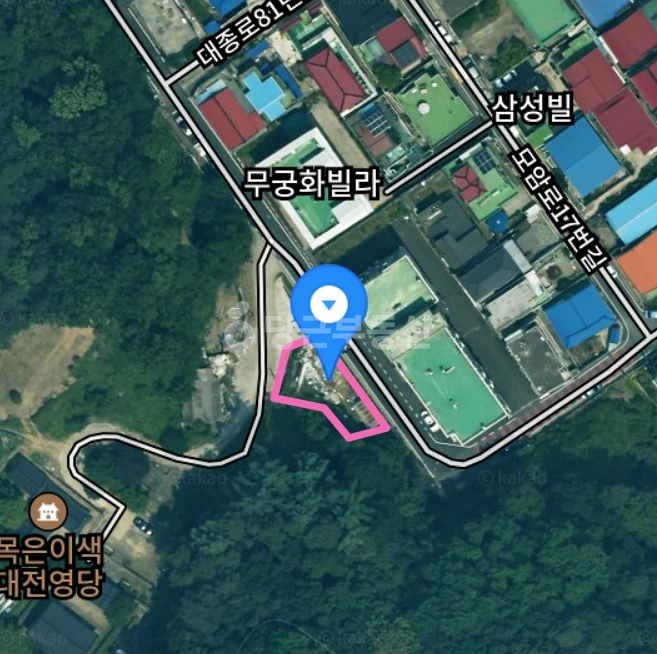 대전광역시 중구 선화동 토지 사진 1