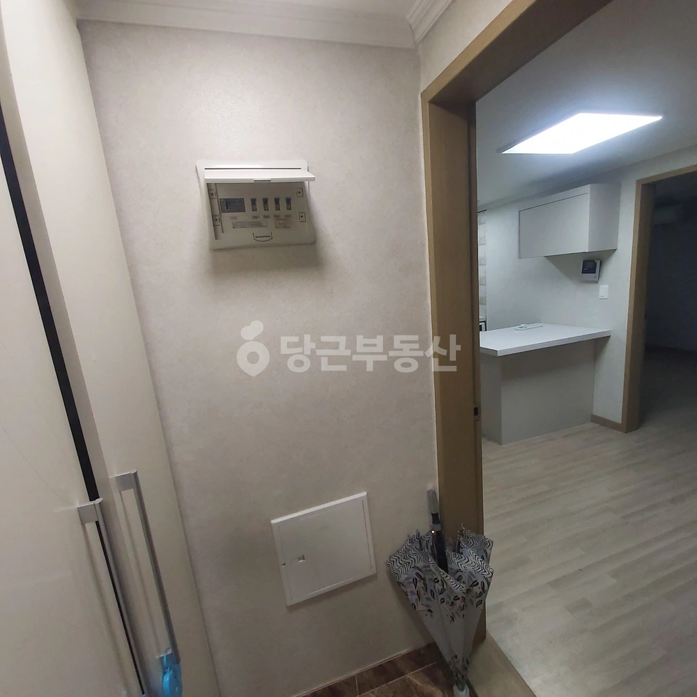 부산광역시 사하구 괴정동 원룸 사진 1