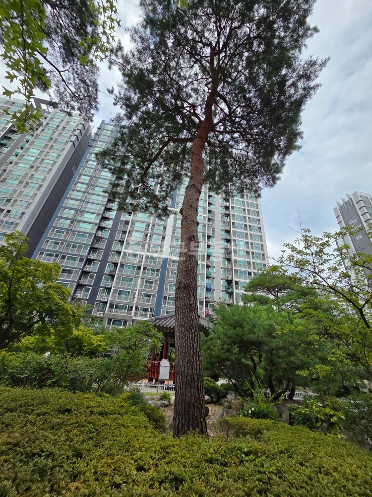 경상북도 포항시 북구 양덕동 아파트 사진 1