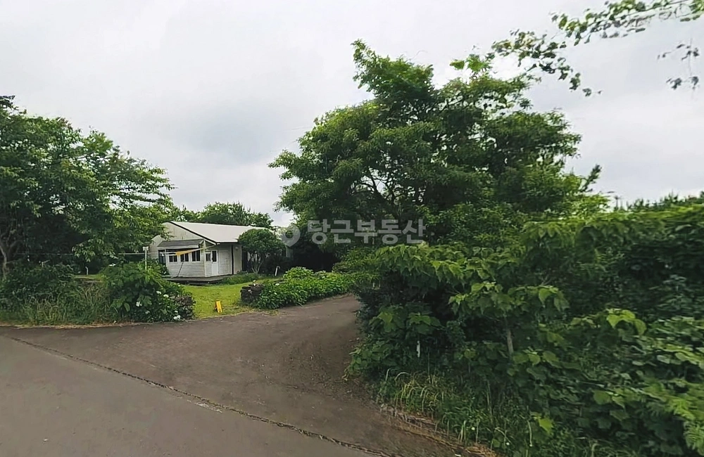 제주특별자치도 제주시 구좌읍 토지 사진 1