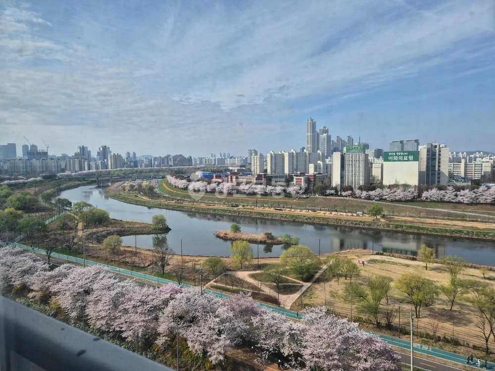 서울특별시 영등포구 양평동5가 아파트 사진 1