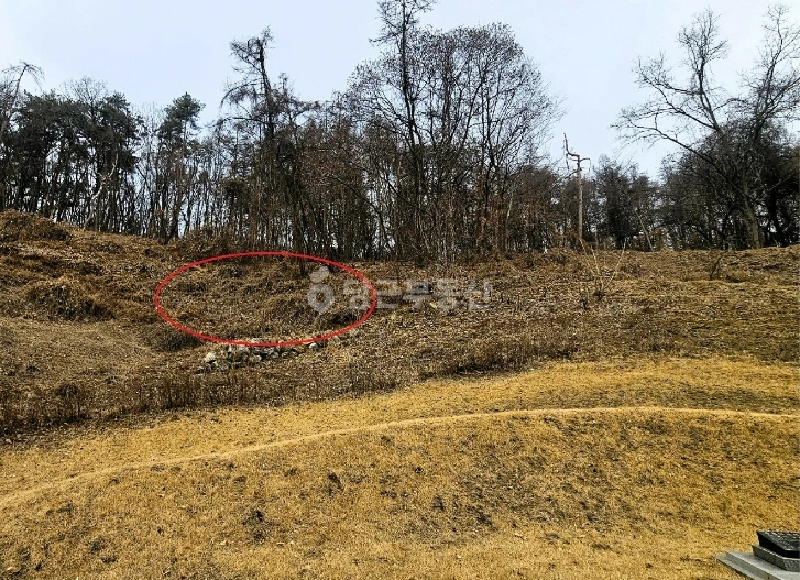 경기도 양평군 양동면 토지 사진 1