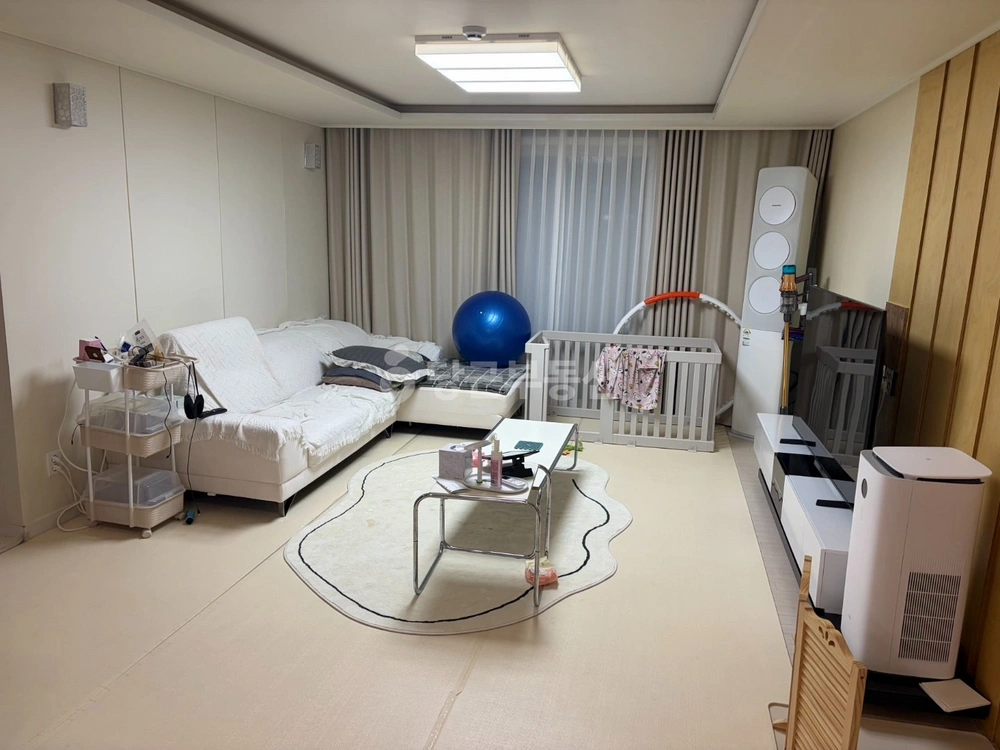 경상북도 포항시 북구 죽도동 오피스텔 사진 1