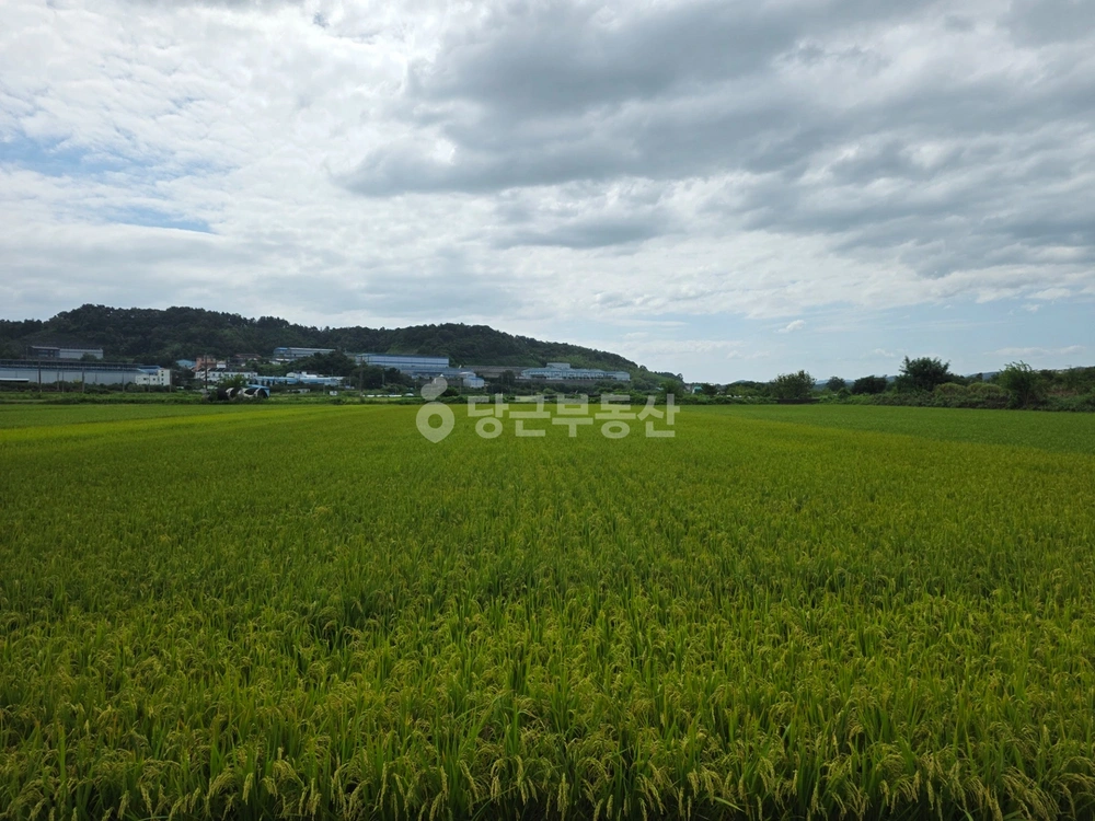 경상남도 사천시 사천읍 토지 사진 1