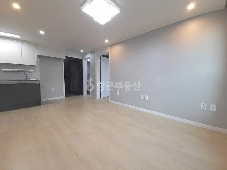 대전광역시 서구 도안동 빌라(투룸 이상) 사진 1