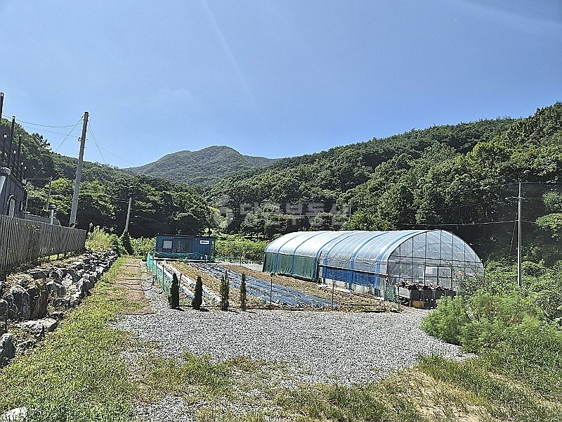 충청남도 아산시 송악면 토지 사진 1