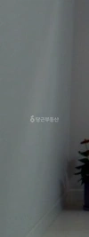 서울특별시 성동구 성수동2가 빌라(투룸 이상) 사진 1