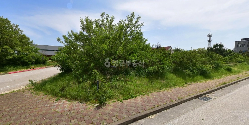 강원특별자치도 동해시 어달동 토지 사진 1