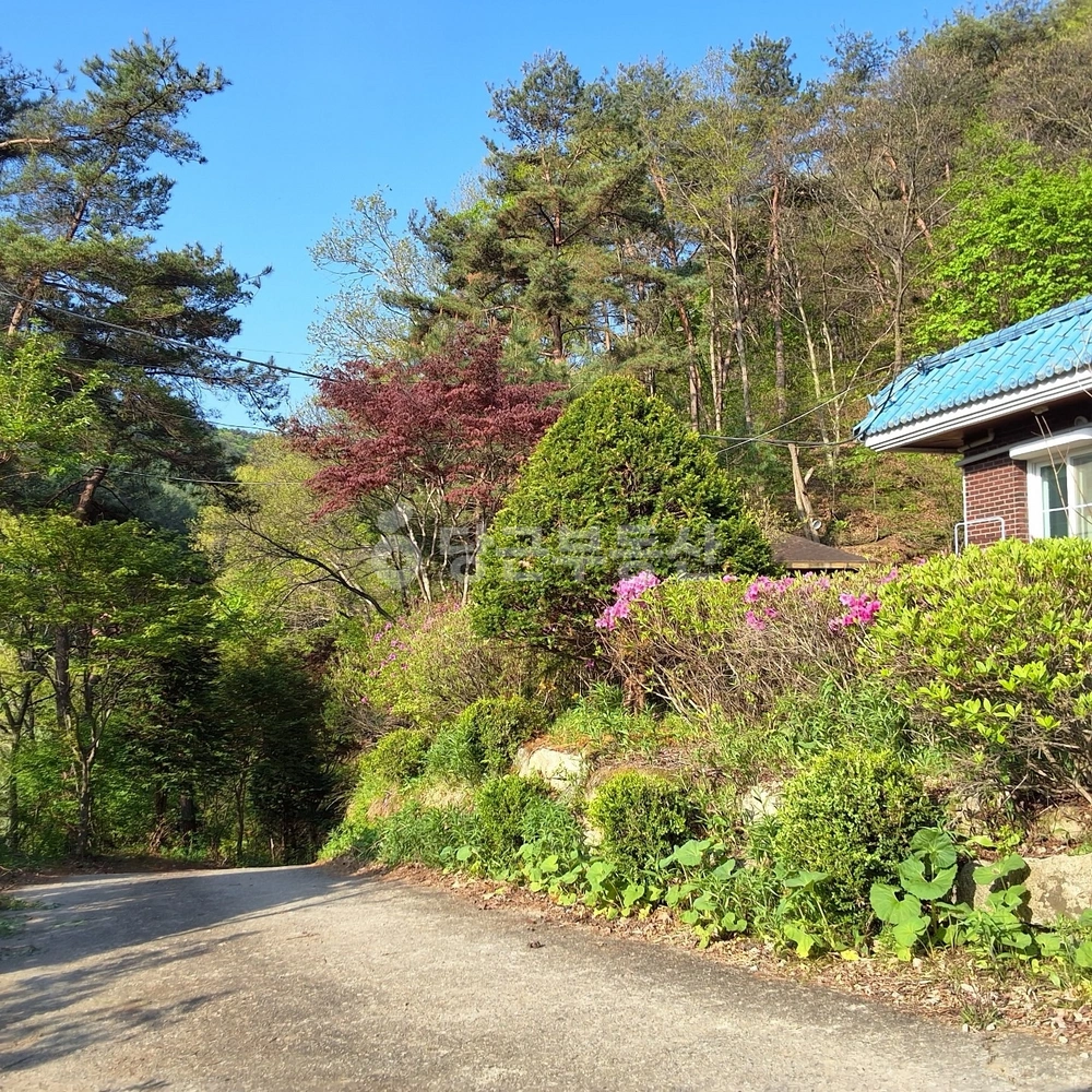 강원특별자치도 홍천군 홍천읍 단독/전원주택 사진 1