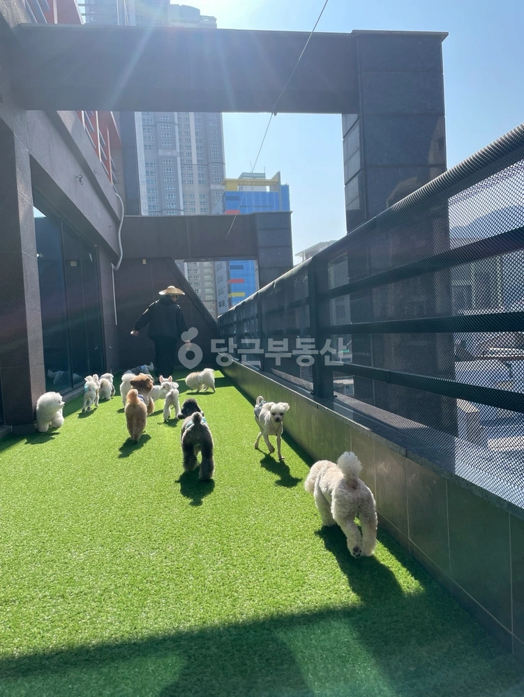 경상남도 거제시 장평동 상가 사진 1