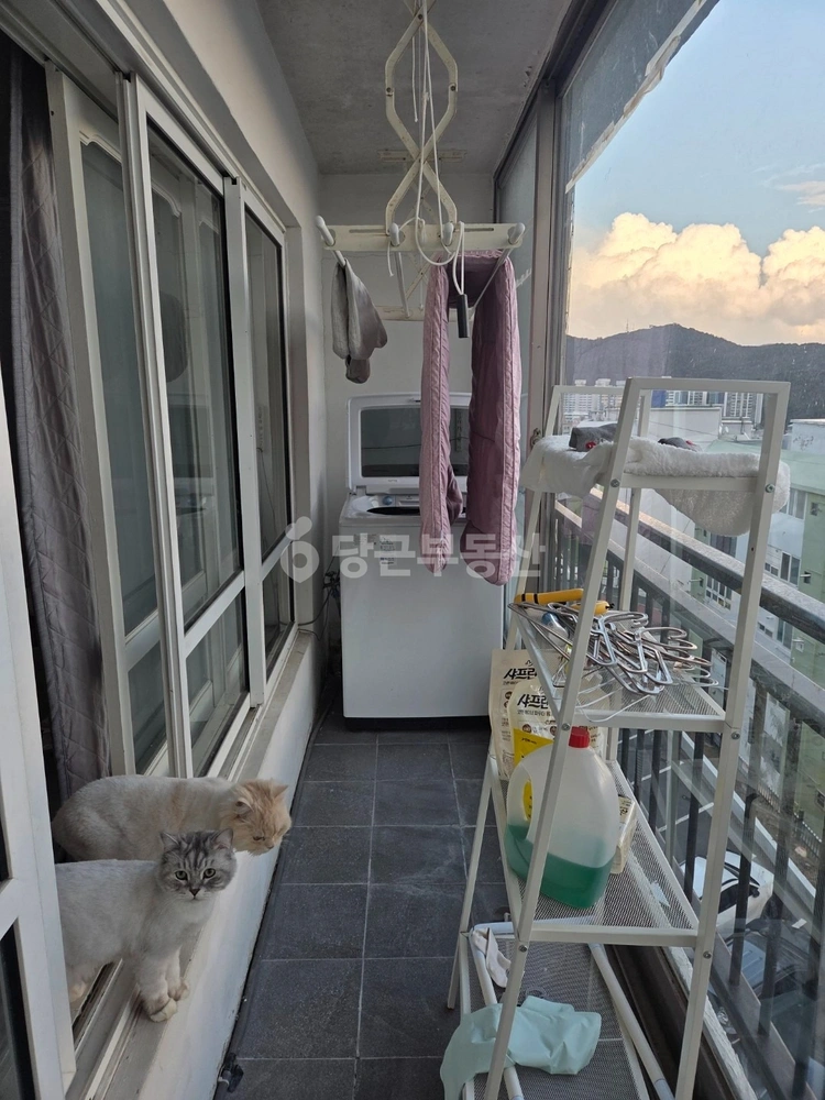울산광역시 동구 서부동 아파트 사진 1