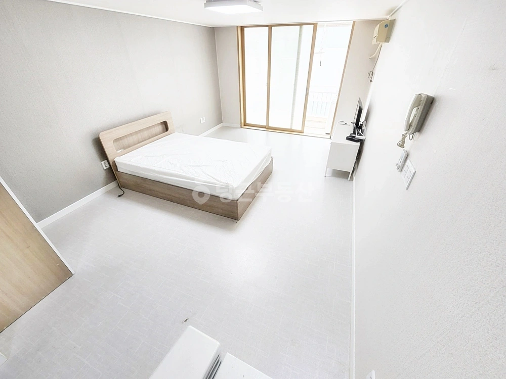 울산광역시 남구 삼산동 원룸 사진 1