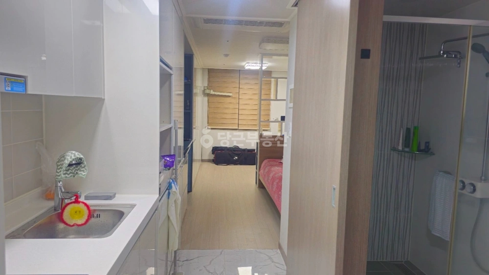 제주특별자치도 서귀포시 법환동 오피스텔 사진 1