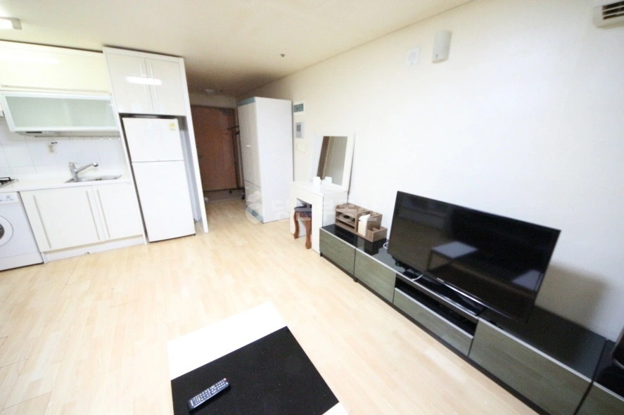 서울특별시 강남구 역삼동 오피스텔 사진 1