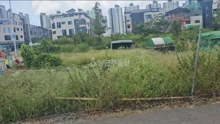 부산광역시 강서구 명지동 토지 사진 1