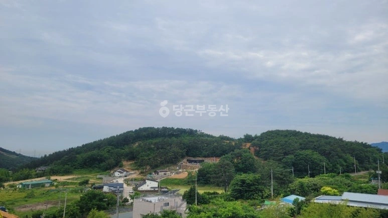 울산광역시 울주군 서생면 토지 사진 1