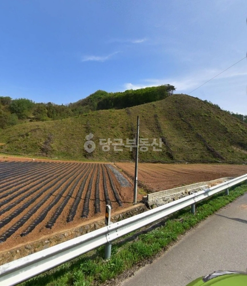 충청북도 단양군 매포읍 토지 사진 1