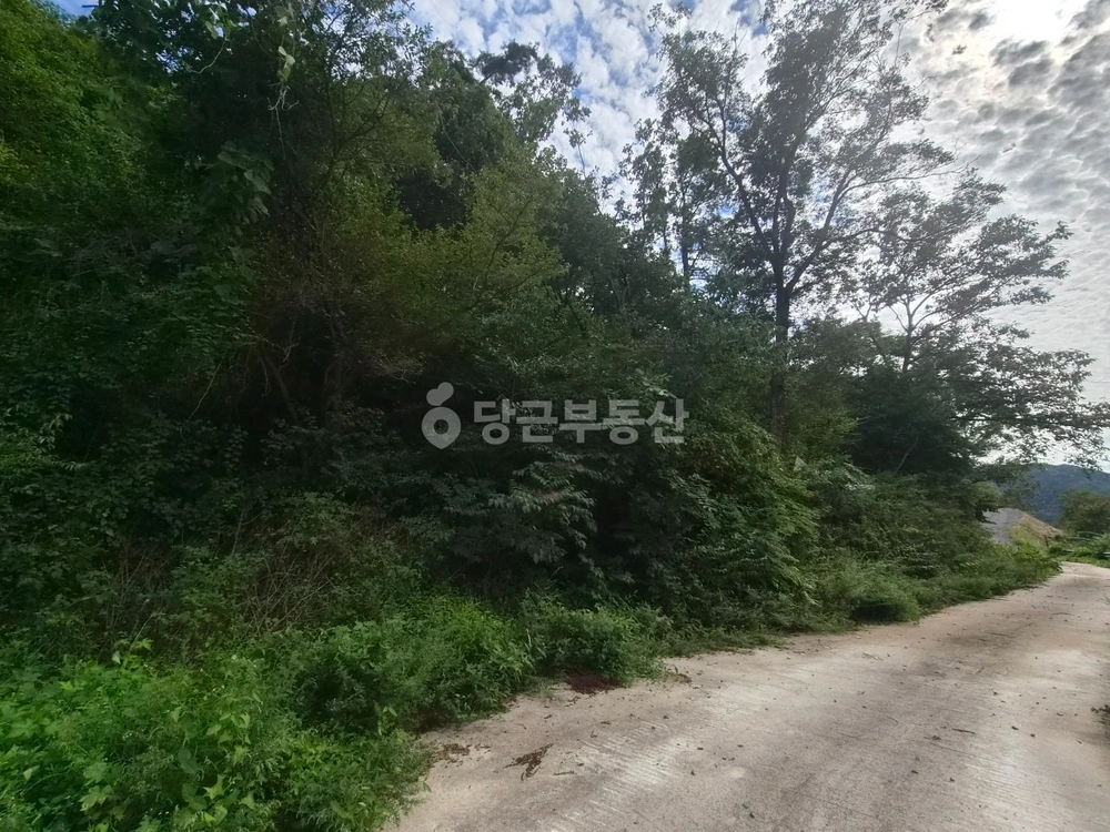 전남광주통합특별시 화순군 백아면 토지 사진 1