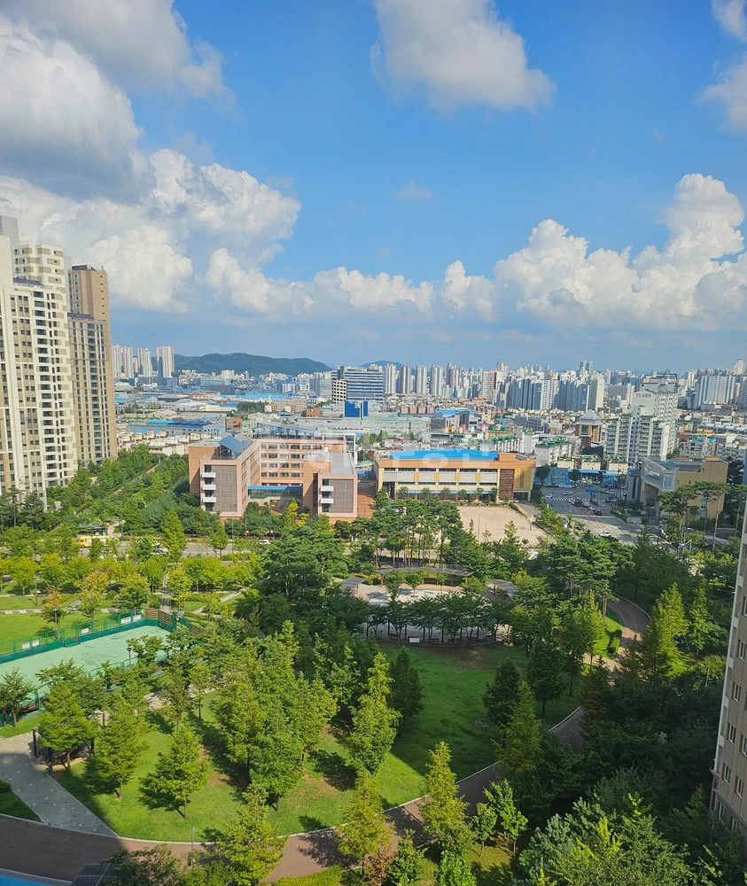 인천광역시 미추홀구 도화동 아파트 사진 1