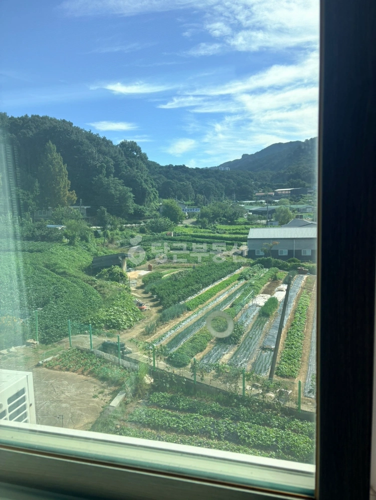 경기도 남양주시 금곡동 원룸 사진 1