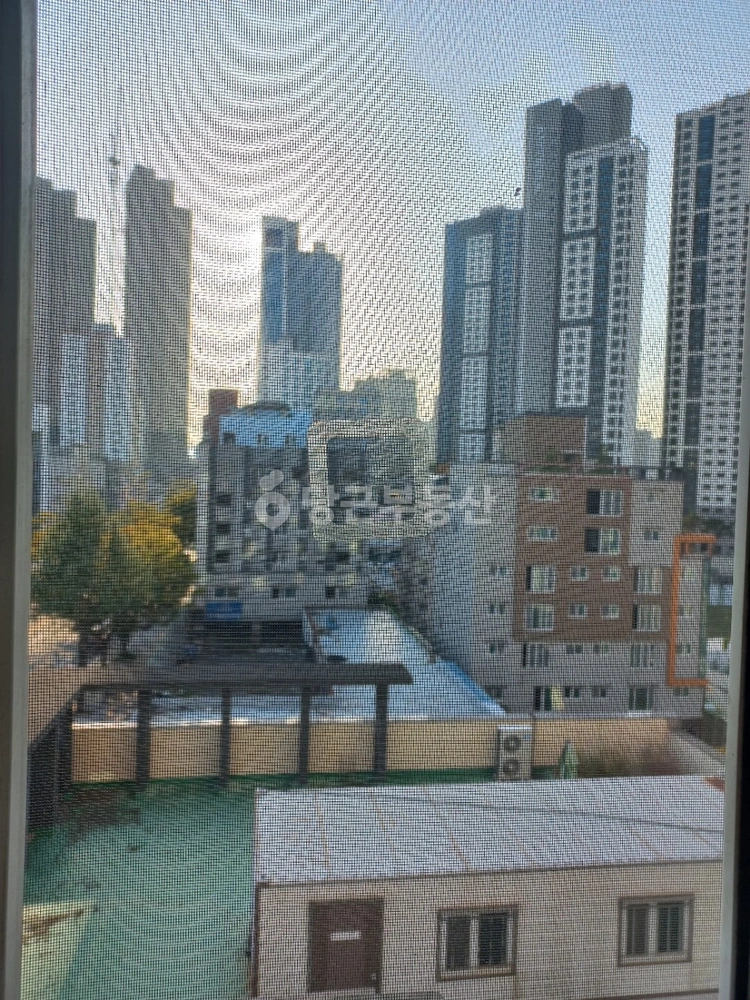 울산광역시 남구 신정동 오피스텔 사진 1