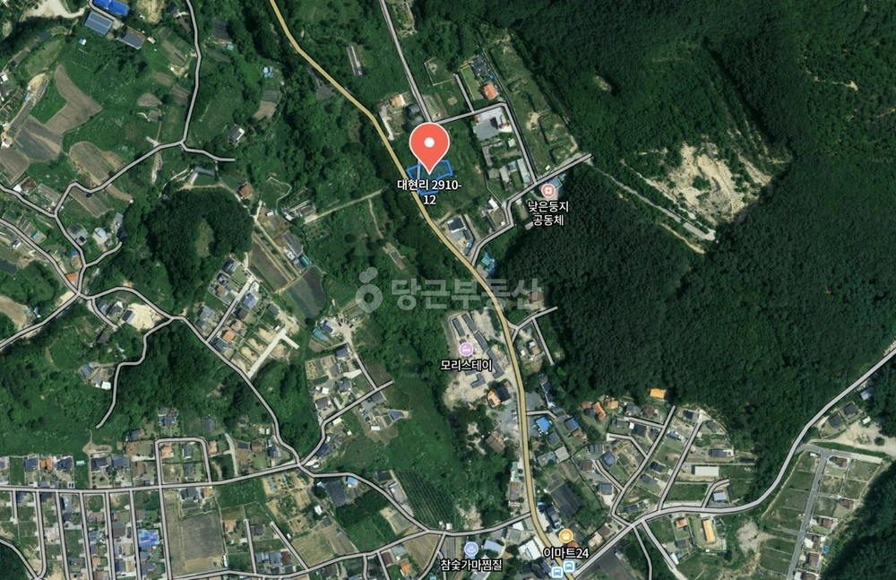 경상북도 경주시 산내면 토지 사진 1