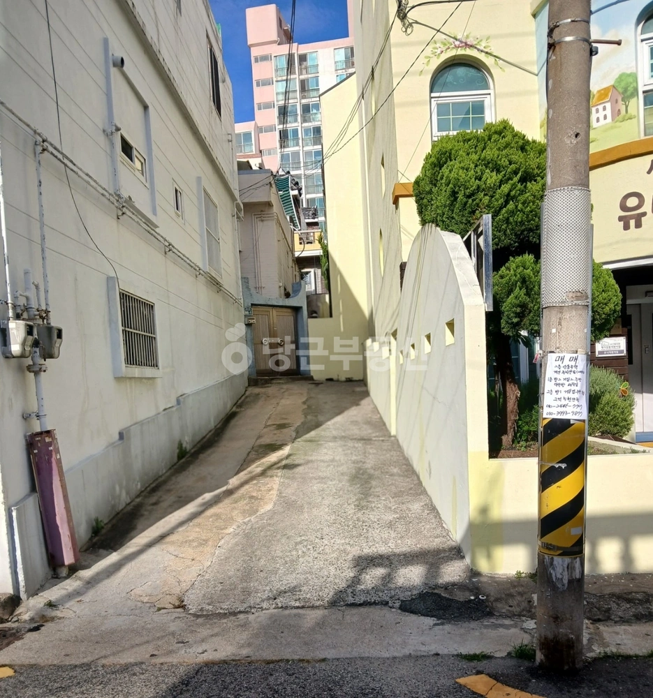 부산광역시 남구 용호동 단독/전원주택 사진 1