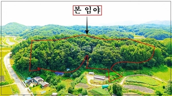 경상북도 영주시 부석면 토지 사진 1