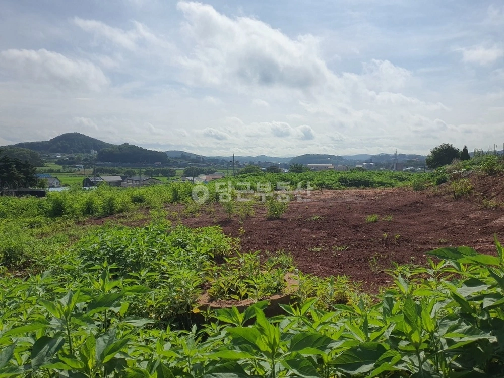 인천광역시 강화군 길상면 토지 사진 1