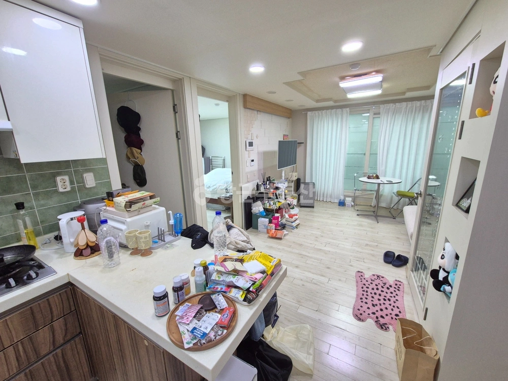 서울특별시 마포구 서교동 빌라(투룸 이상) 사진 1