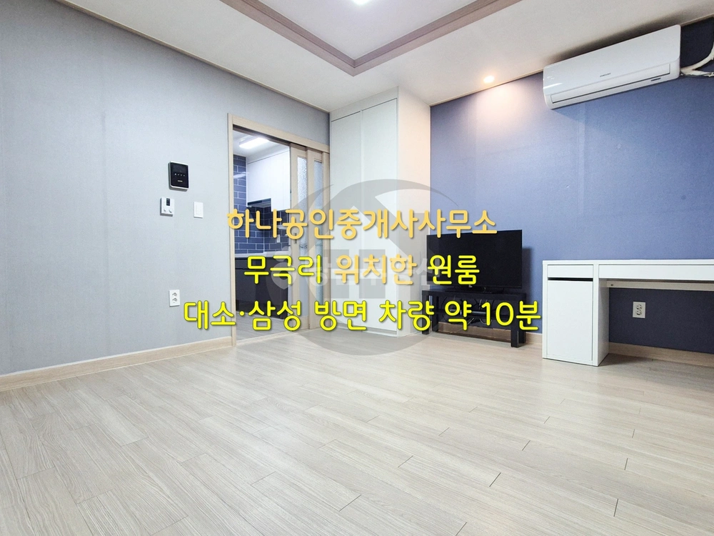 충청북도 음성군 금왕읍 원룸 사진 1