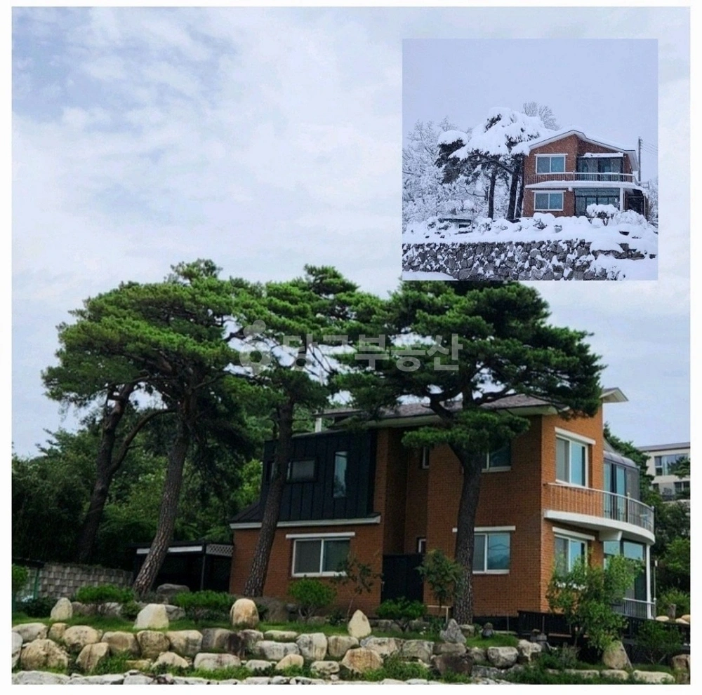 강원특별자치도 고성군 토성면 단독/전원주택 사진 1