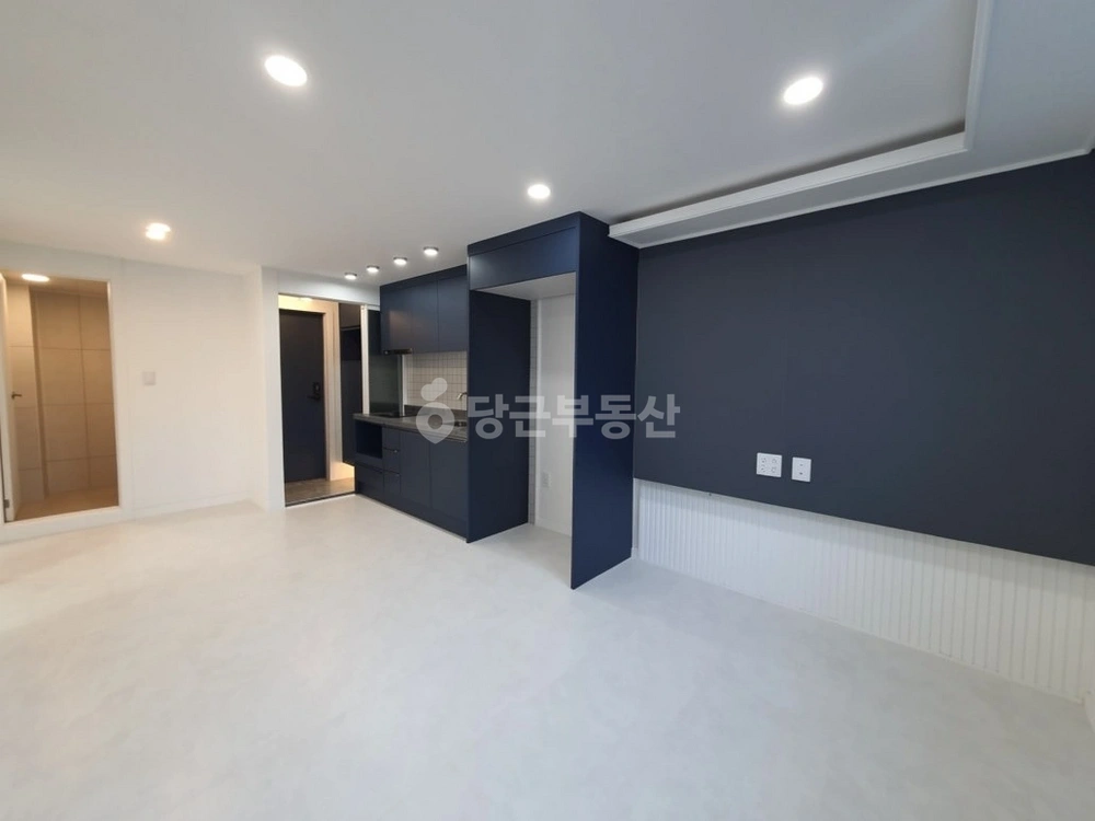 대전광역시 서구 괴정동 빌라(투룸 이상) 사진 1