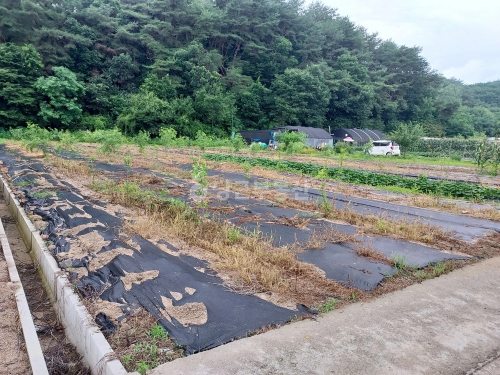 강원특별자치도 춘천시 서면 토지 사진 1