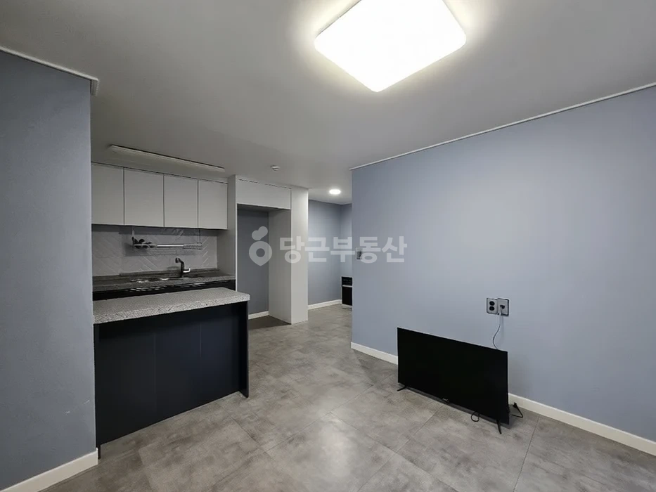 대전광역시 서구 월평동 빌라(투룸 이상) 사진 1