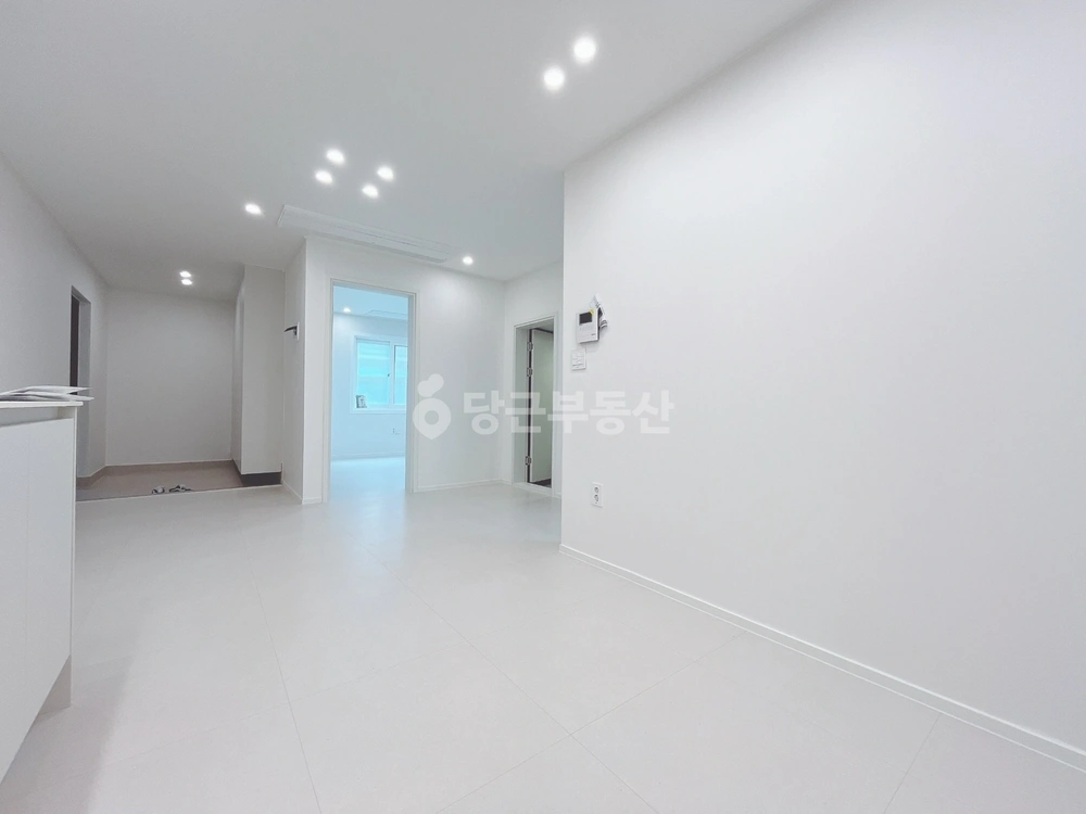 울산광역시 남구 삼산동 빌라(투룸 이상) 사진 1