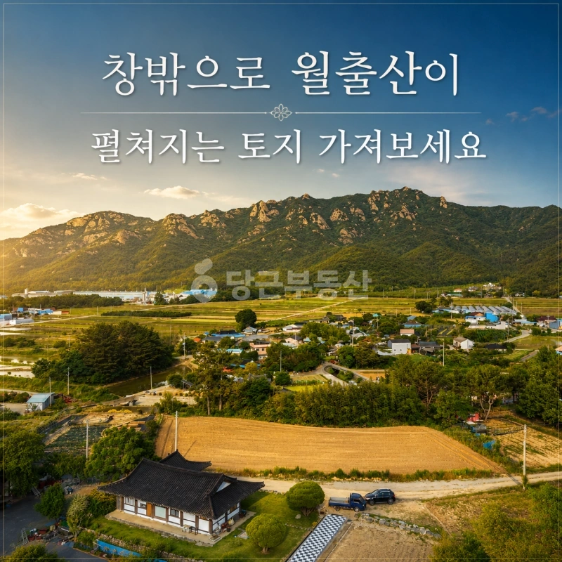 전남광주통합특별시 영암군 군서면 토지 사진 1