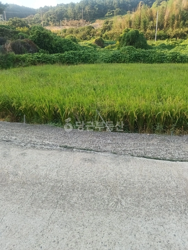 경상남도 통영시 용남면 토지 사진 1
