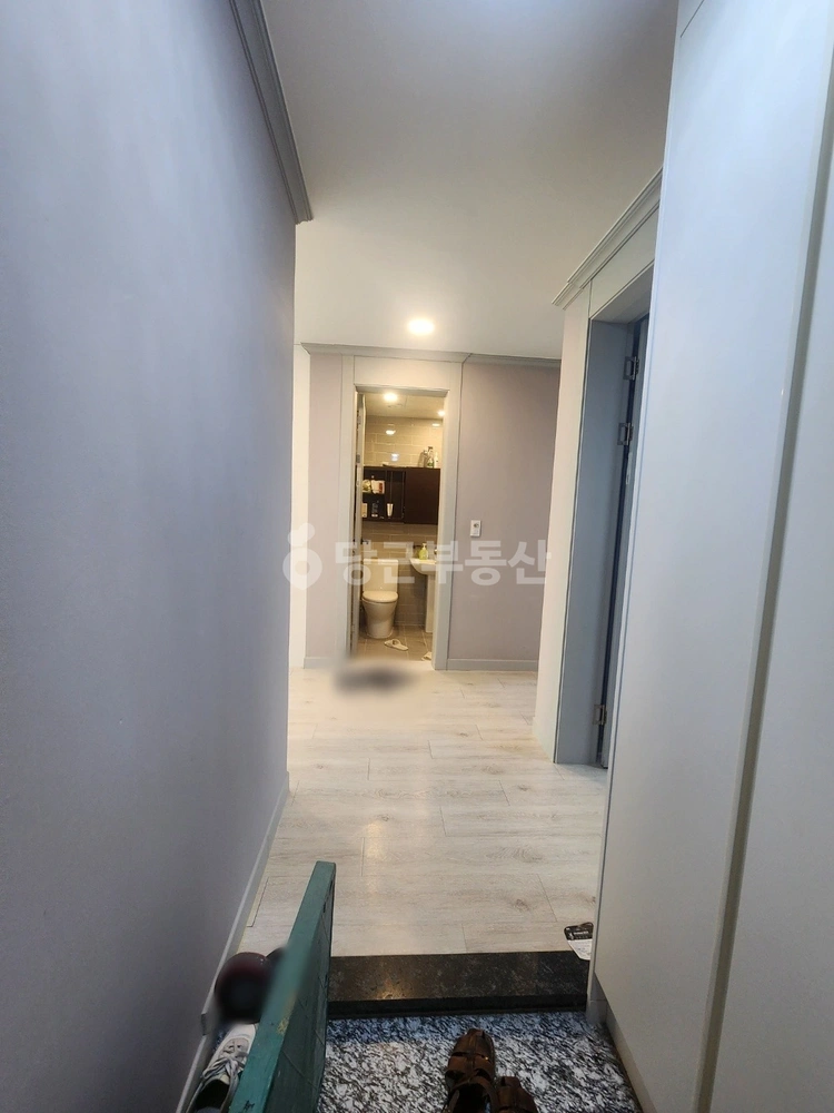 대전광역시 서구 도안동 빌라(투룸 이상) 사진 1