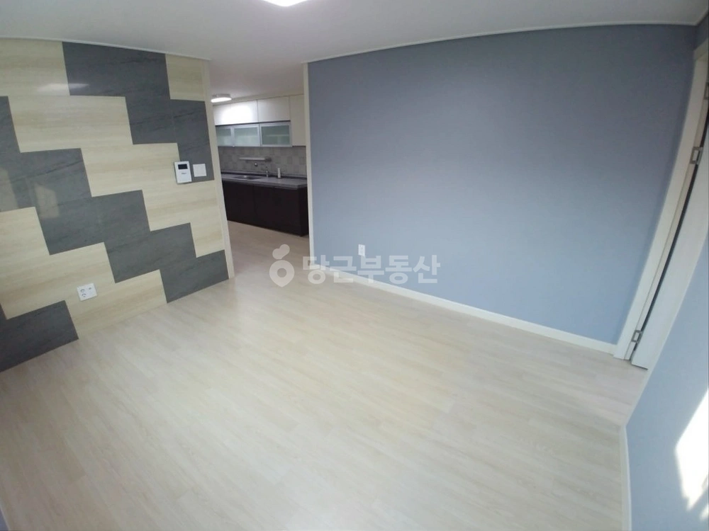 대전광역시 서구 괴정동 빌라(투룸 이상) 사진 1