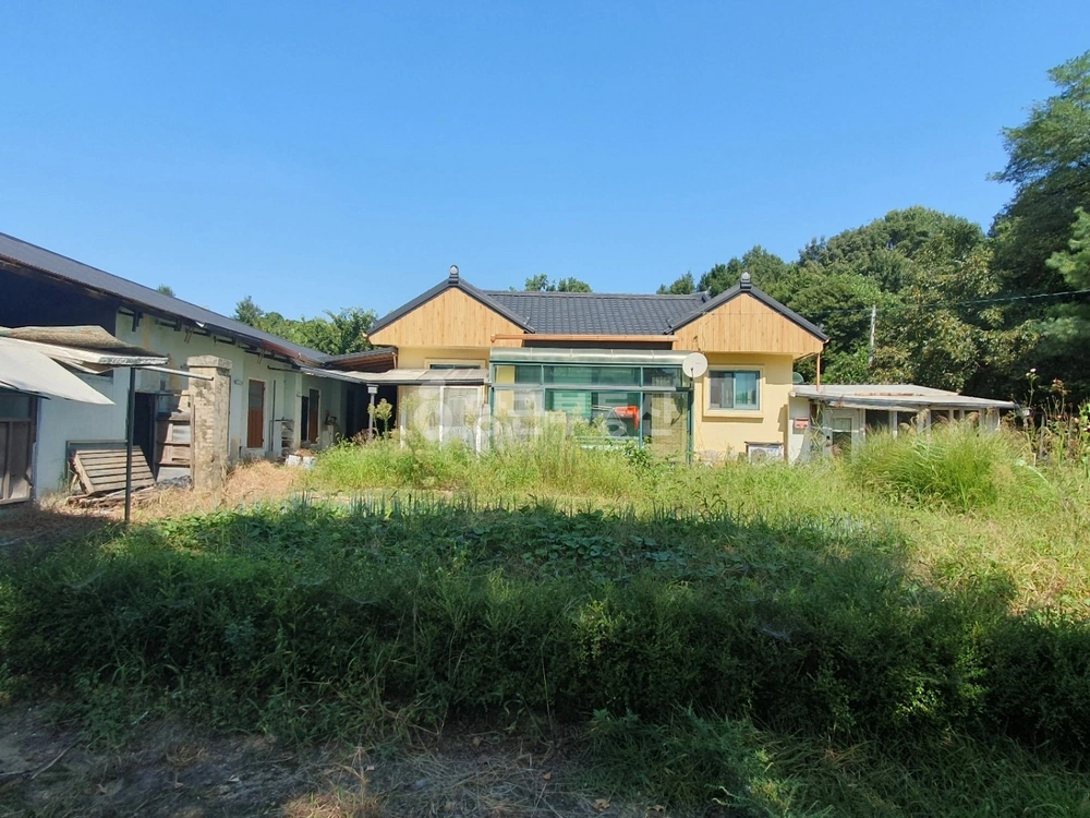 충청남도 아산시 신창면 단독/전원주택 사진 1