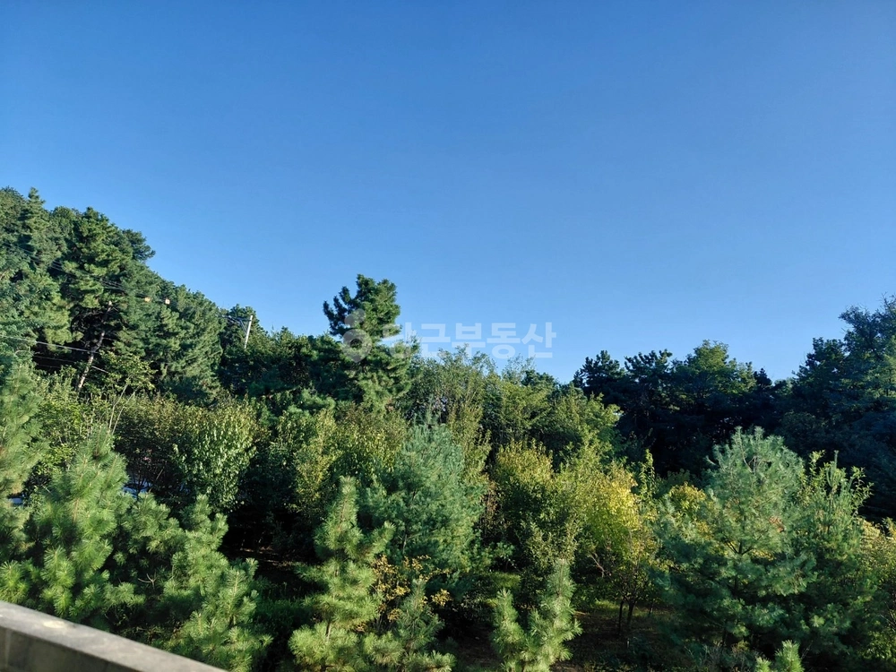 인천광역시 남동구 간석동 아파트 사진 1