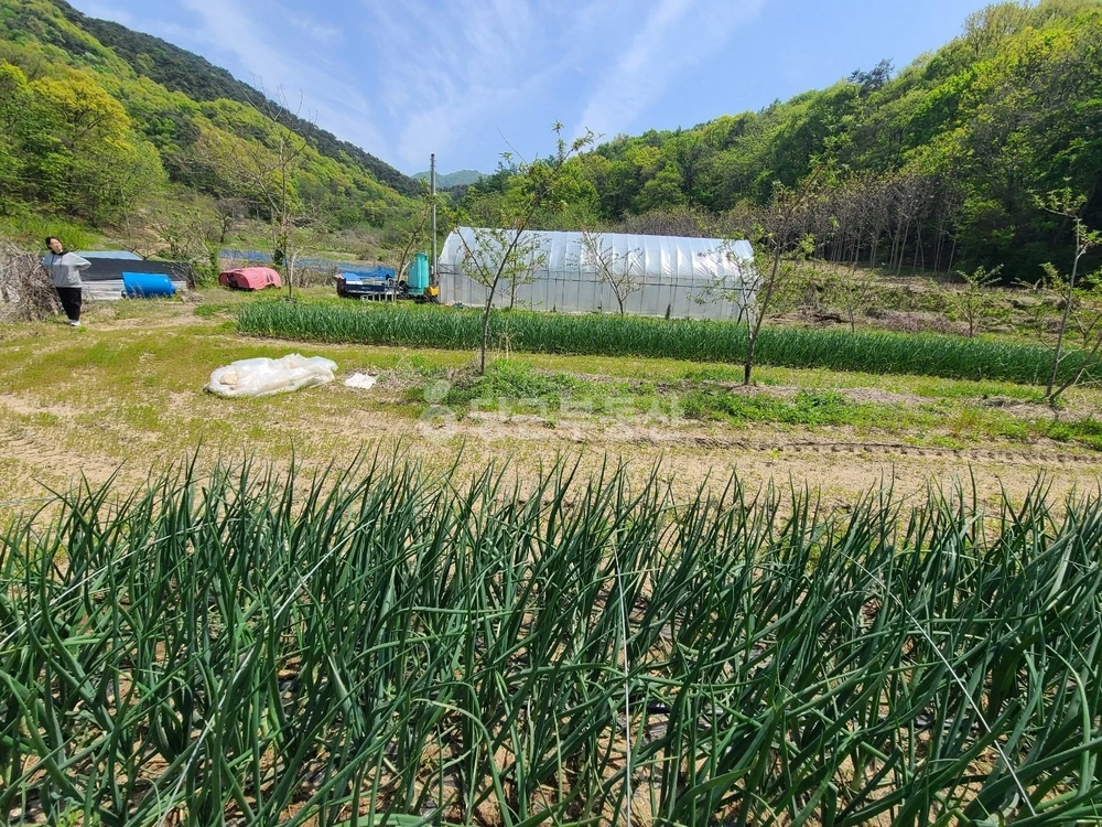 강원특별자치도 원주시 소초면 토지 사진 1