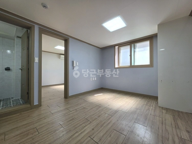 대전광역시 서구 탄방동 원룸 사진 1