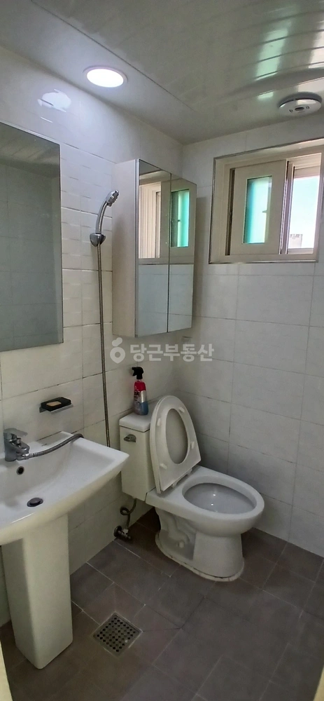 경기도 안양시 동안구 호계동 원룸 사진 1