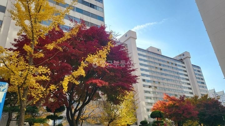 충청남도 계룡시 엄사면 아파트 사진 1