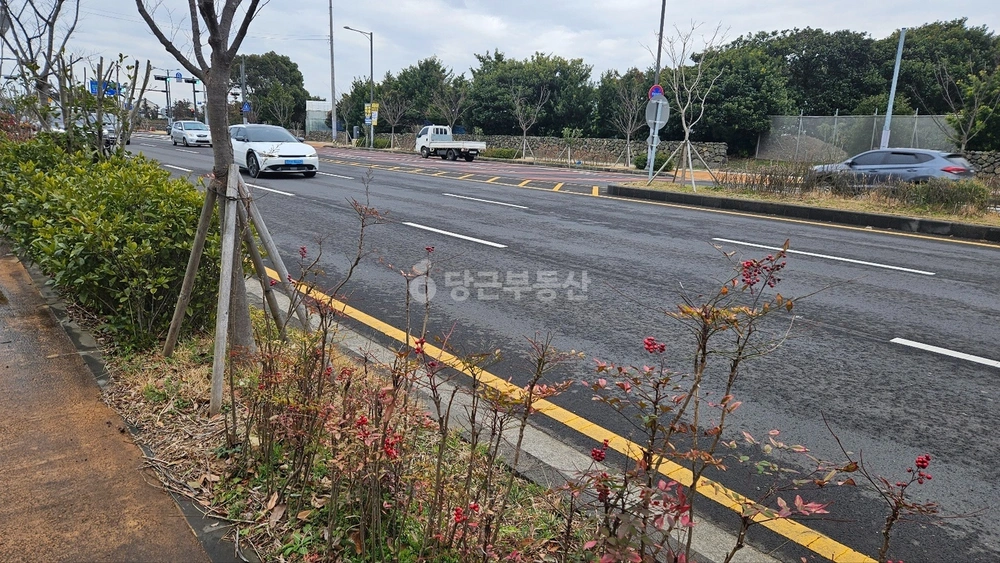 제주특별자치도 제주시 도련일동 토지 사진 1